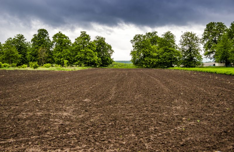 Property Line Clearing in Salt Lake City, UT