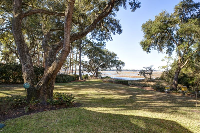 Trees Clearing in Atlanta, GA
