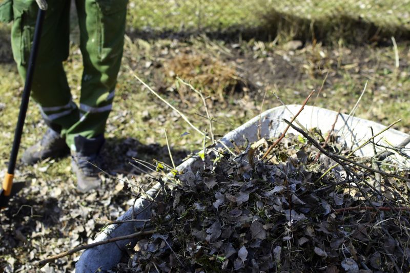 Underbrush Clearing in Atlanta, GA