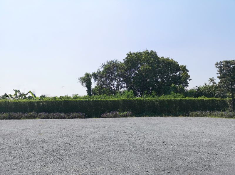 Yard Grading in Salt Lake City, UT